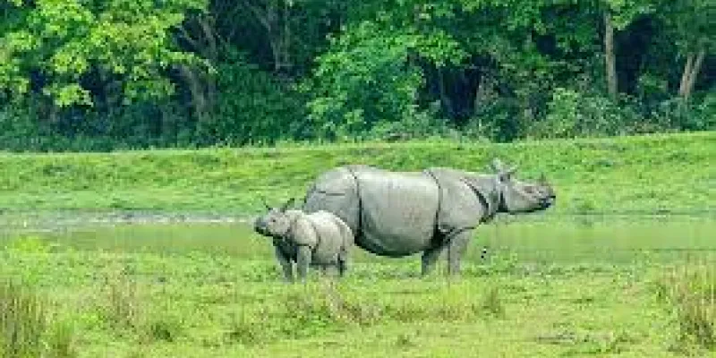 WILDLIFE SPECIAL TOUR