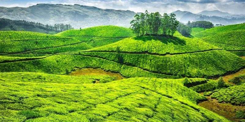 5 Days Cochin - Munnar Tour