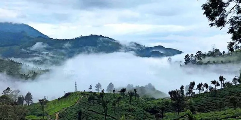 Kerala Most Demanded