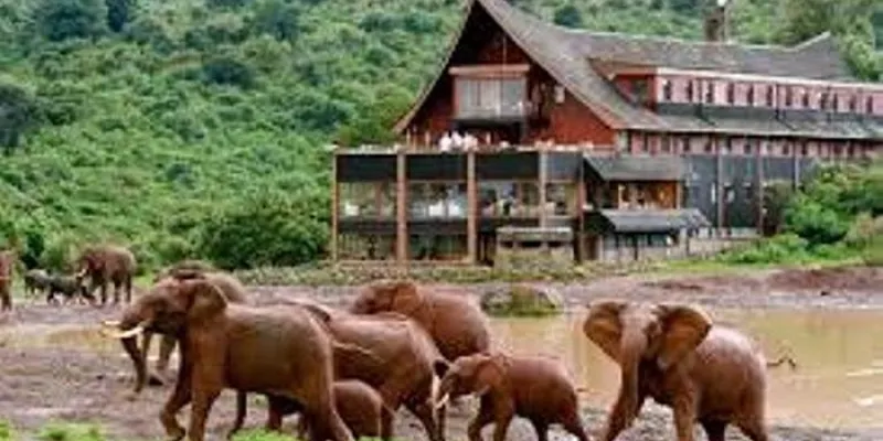 5 Days African Safari Tour - Best Of Kenyan Luxury Safari From Nairobi