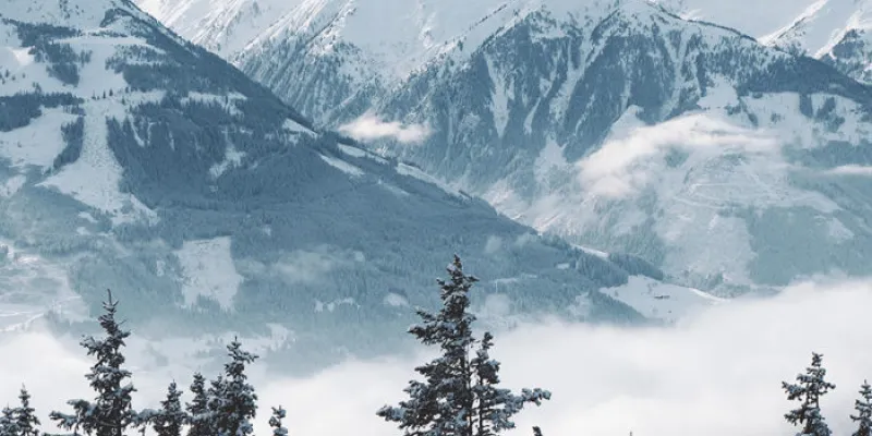 Himachal Shimla Manali Chandigarh 6N - 7D Tour