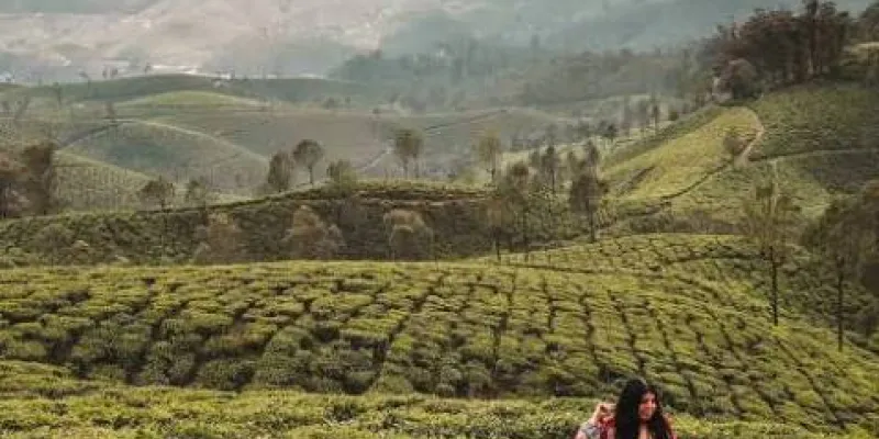 2N Essence Cochin - Athirapally Tour Package