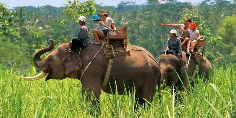 4N - 5D Nainital - Corbett Tour Package