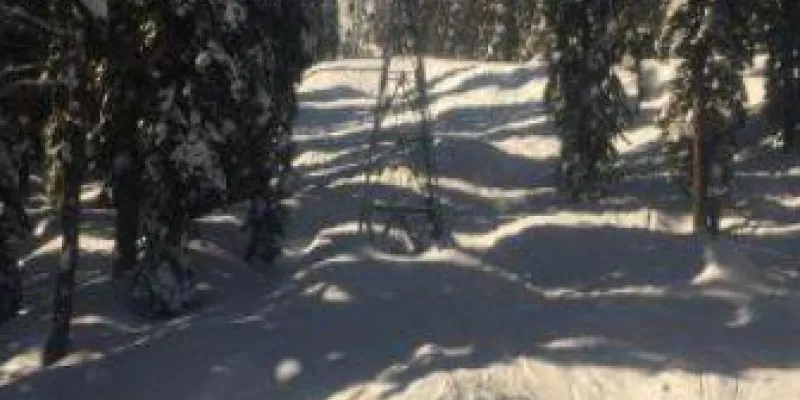 Jannat E Kashmir 05 Nights - 06 Days Tour