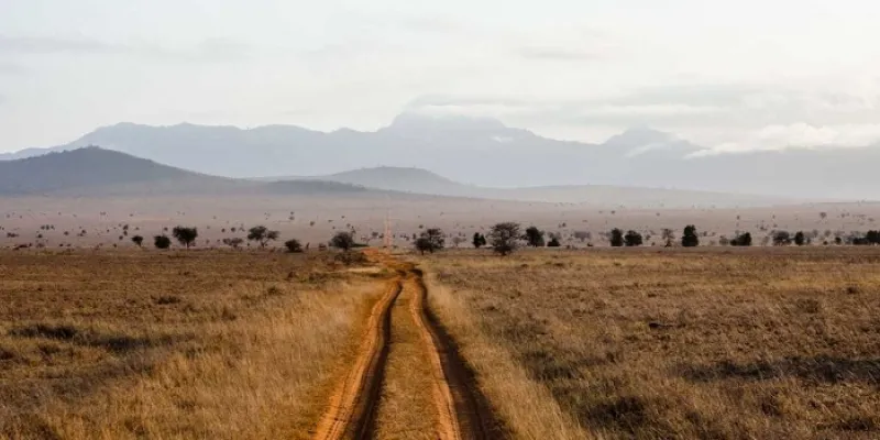 Tsavo East 1 Day Safari Tour From Beach To Beach