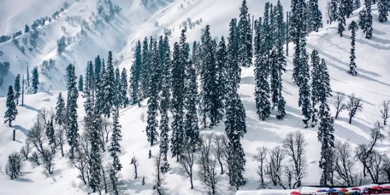 2 Night - 3 Day Trip To Shimla