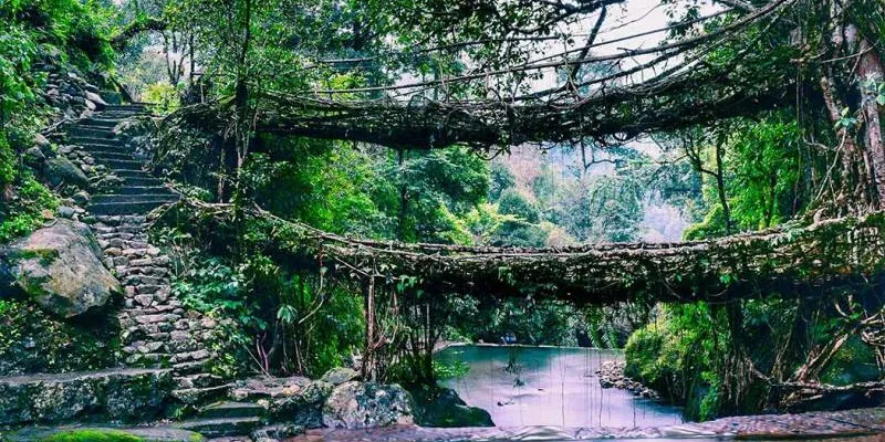 6 Nights - 7 Days Meghalaya Tour Package