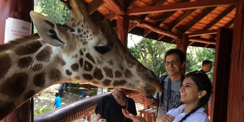 Nairobi Giraffe Centre Day Tour