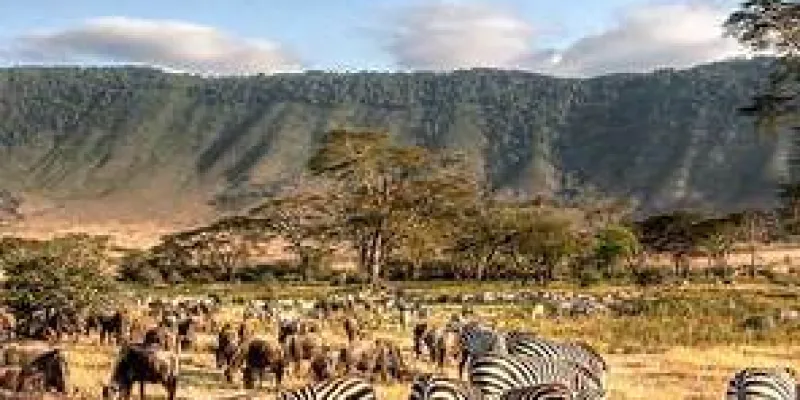 Luxury Mikumi National Park 3 Nights - 4 Days Tour