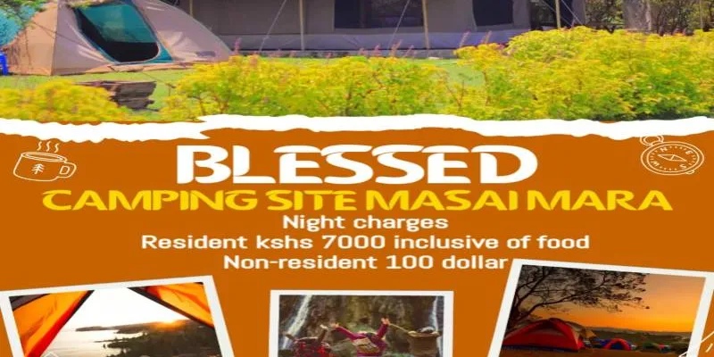 1 Night/day from Nairobi to Masai Mara and Back to Nairobi