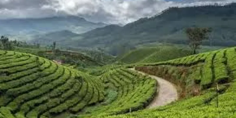 Gangtok - Darjeeling Delight 5 Nights - 6 Days Tour