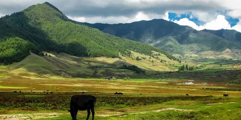 Bhutan Tour Package For 7 Days - 6 Night