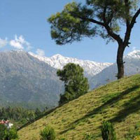 Packages in Shimla