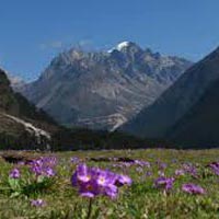 Unforgettable Moments In Himachal Tour