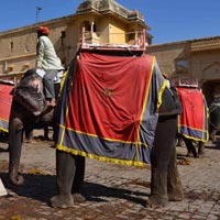 Day Tours Jaipur