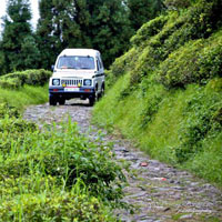 Darjeeling - Pelling - Gangtok - Kalimpong Tour