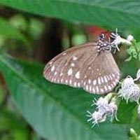 Enchanting Tour to Andaman Islands