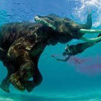 7 Nights 8 Days Andaman Family Special Package