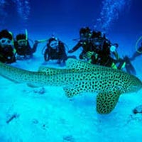 4 Nights 5 Days Andaman Special Family Tour Package