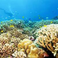 Magical Port Blair Vacation Package