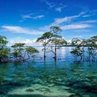 Five Day Tour (South Andaman)
