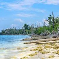 Flight Inclusive - Jewels Of The Bay Andaman 5N/6D Tour