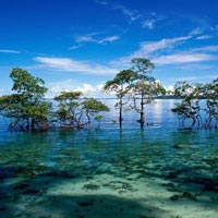 Andaman With Baratang Day Trip 6N/7D (Summer Special) Tour
