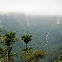 Amazing Assam with Meghalaya Tour