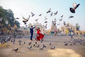 Bangalore Mysore Ooty Tour