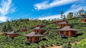 Bangalore Mysore Ooty Tour