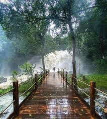Banglore Mysore Coorg Package 3 night /4 days