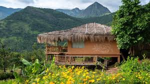 Packages in Thekkady