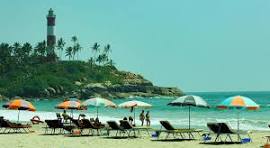 Kerala Honeymoon Tour