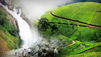 Magical Kerala Tour