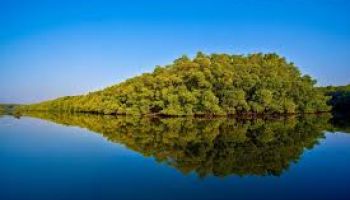 Explore The Real Andaman 3N - 4D Tour