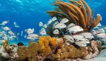 Explore The Real Andaman 3N - 4D Tour