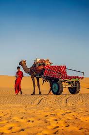 Wonderful Rajasthan Package For 5 Night - 6 Days