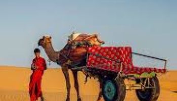 Wonderful Rajasthan Package For 5 Night - 6 Days