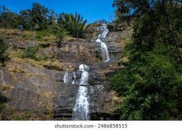 Packages in Thekkady