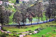 Short Escape To Ooty Package