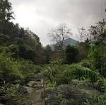Short Escape To Ooty Package