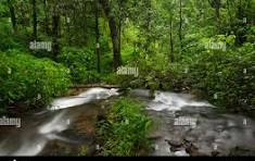 Short Escape To Ooty Package