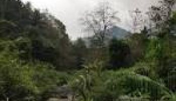 Short Escape To Ooty Package