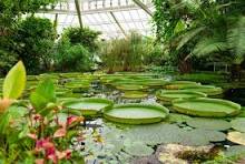 Coonoor with Ooty Tour