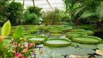 Coonoor with Ooty Tour