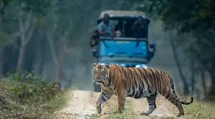 Short Escape to Kabini Tour