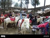 Magnificent Shimla Manali Tour