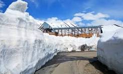 Magnificent Shimla Manali Tour