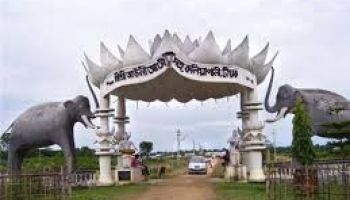 Packages in Kaziranga