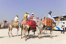 Tour Package For 3 Night 4 Days For Patan - Gujarat